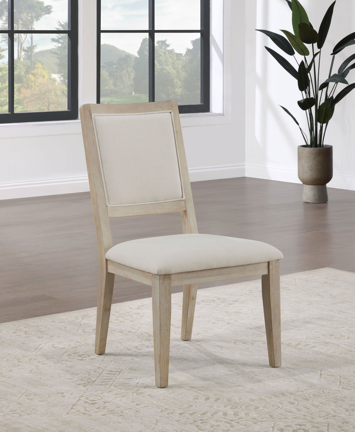 Trofello Collection