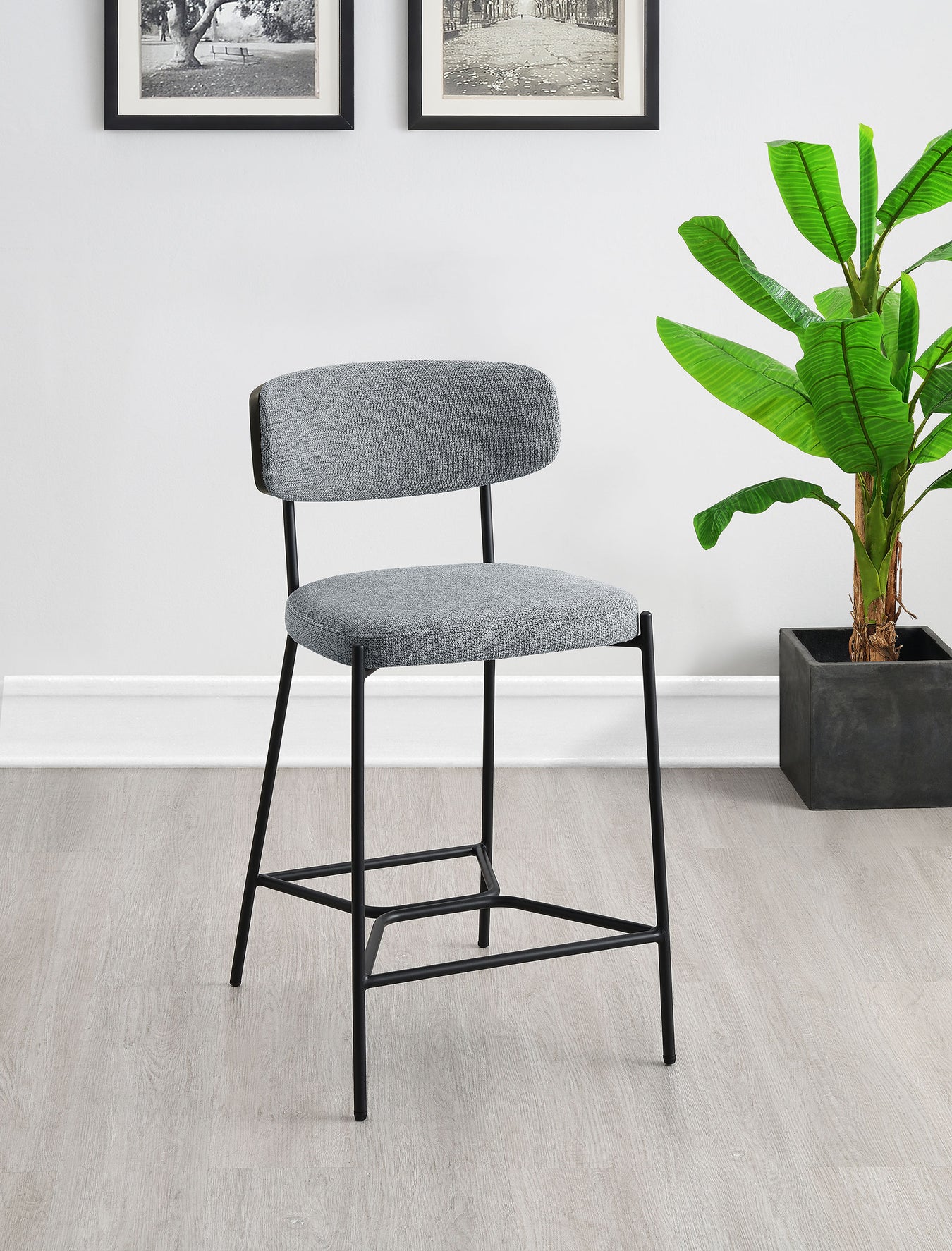 Elison Collection