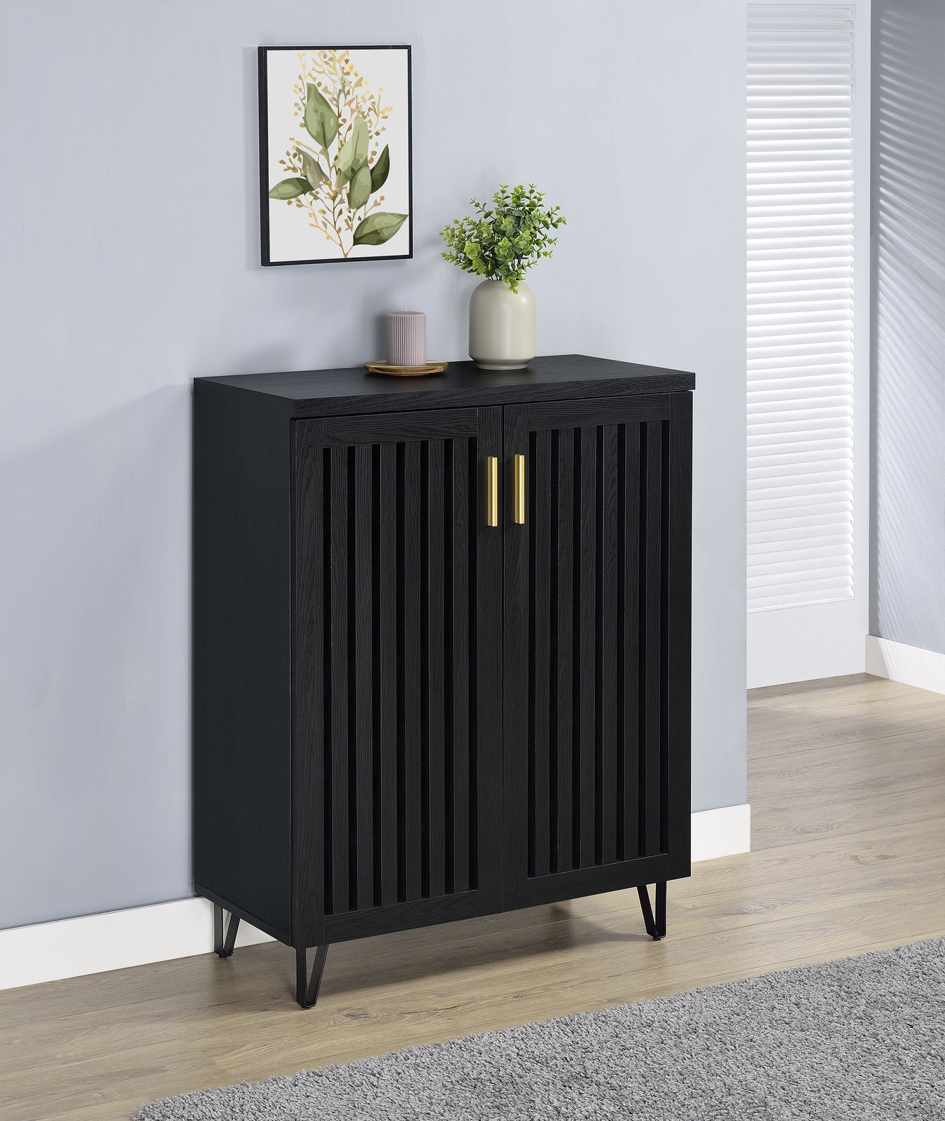 Shoe Cabinet