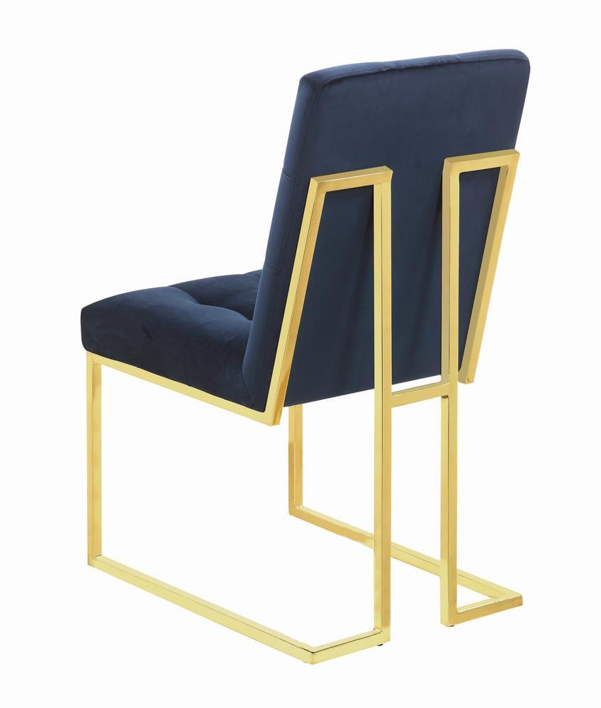 Blue/Gold